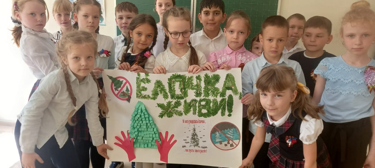 Природоохранная акция "Ёлочка, живи!".